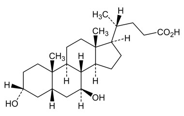 Ursodeoxycholic Acid, UDCA supplier